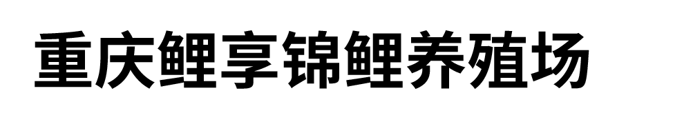 upload/img/20241127100645.png