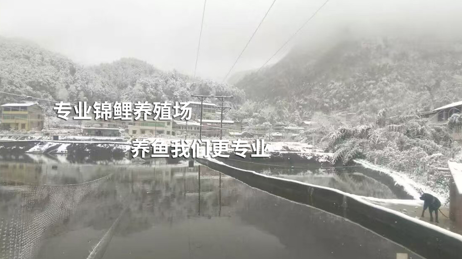 通栏图片
